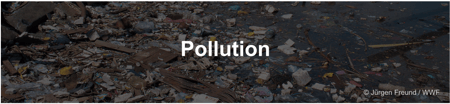 Pollution