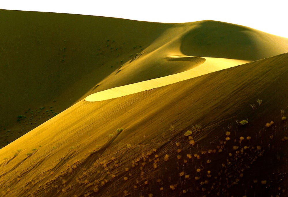 Sand dune, Namib Desert, Namibia.© Wim van Passel  WWFSmall_WW1111123